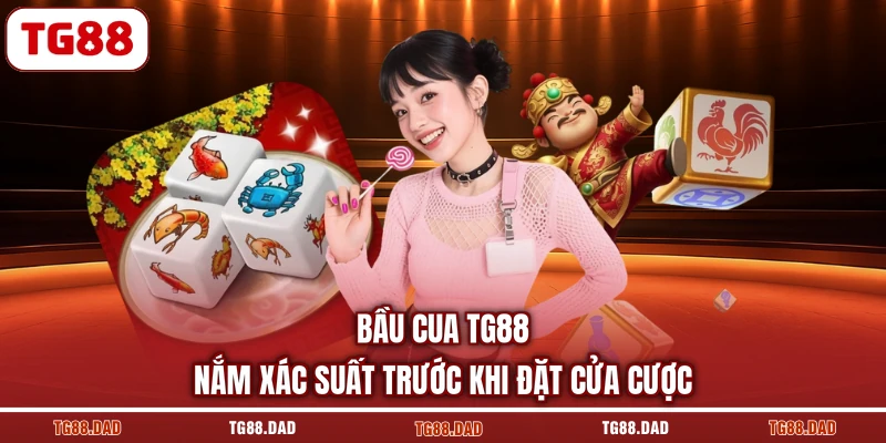 Bầu Cua TG88 Nắm Xác Suất Trước Khi Đặt Cửa Cược