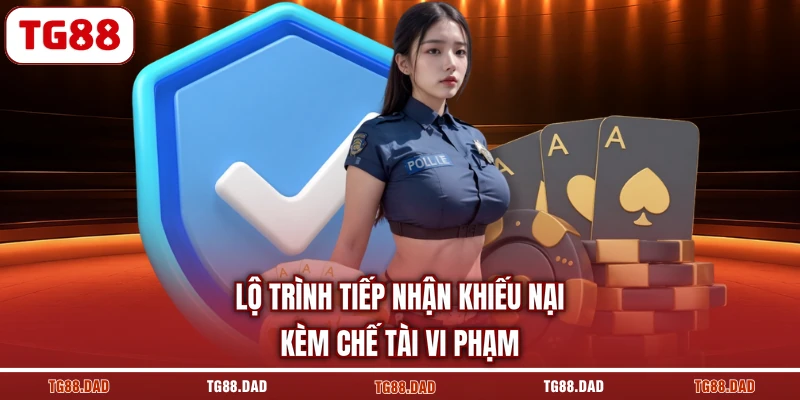 Lộ trình tiếp nhận khiếu nại kèm chế tài vi phạm