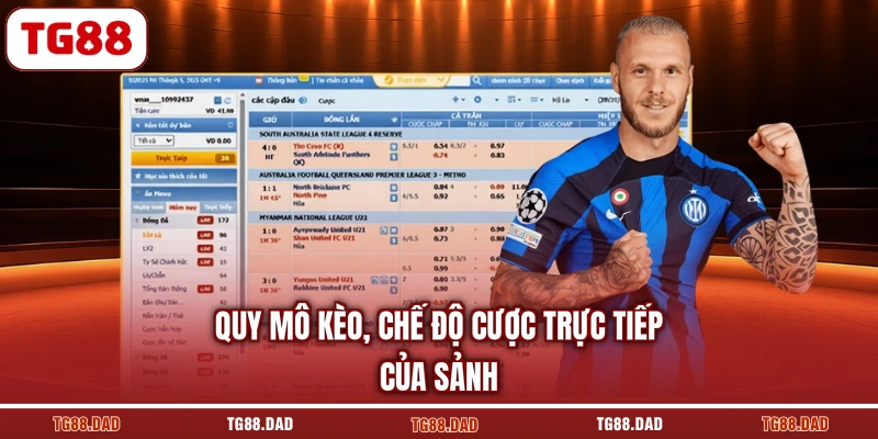 Quy mô kèo, chế độ cược trực tiếp của sảnh